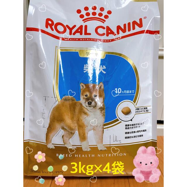 ロイヤルカナン ドライフード 柴犬子犬 3kg×4袋 ペット用品