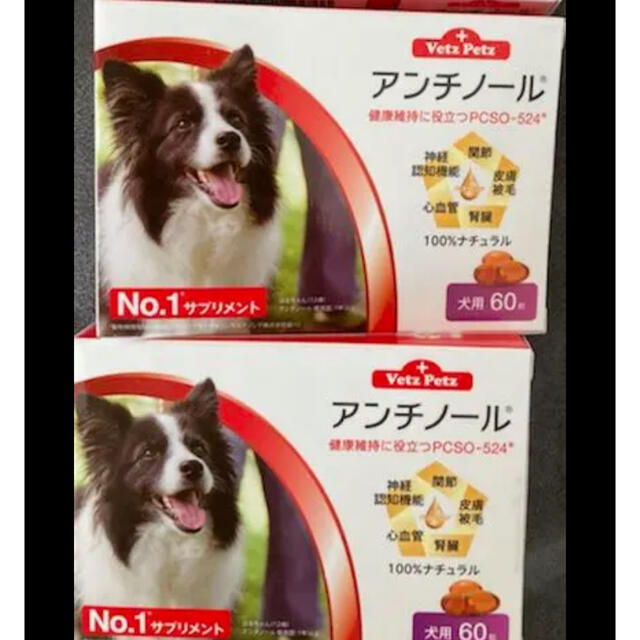 犬 サバ缶 いなば フード 67缶 犬 サバ缶 いなば フード 67缶 109種類