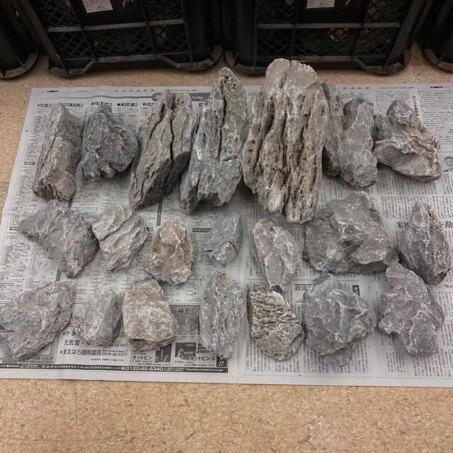 カリカリマシーンSPの通販はau PAY マーケット - 輸入雑貨のネット