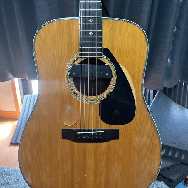 Morris TF W-50 ハカランダ 3Pバック アコースティックギター Morris