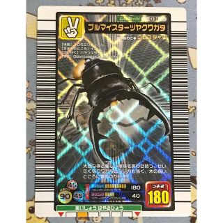 ムシキングカード 2005ファーストバージョン 【フルコンプ】