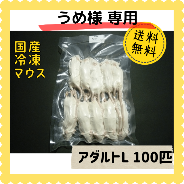 送料無料 冷凍ピンクマウスL100匹 冬継国産 冷凍マウスピンクL100匹