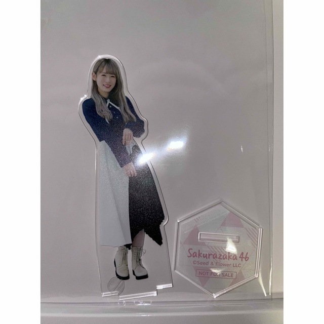 小池美波 直筆サイン 2022年クリスマスサンタ衣装 櫻坂46 生写真 2022