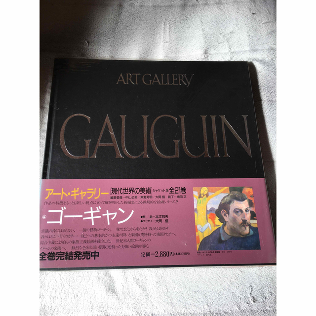 現代世界の美術 全21巻 現代世界の美術アートギャラリー全21巻集英社