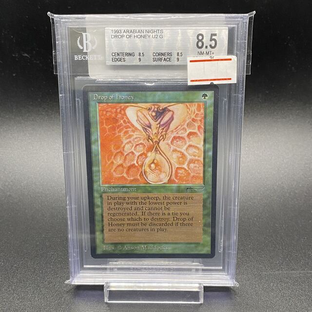 BGS8.5 Drop of Honey ANR EN MTG Arabian Drop of Honey BGS 8.5 BAS 10