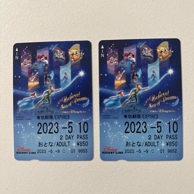 使用済】①特殊デザイン ディズニーリゾートライン 切符 パス リゾラ