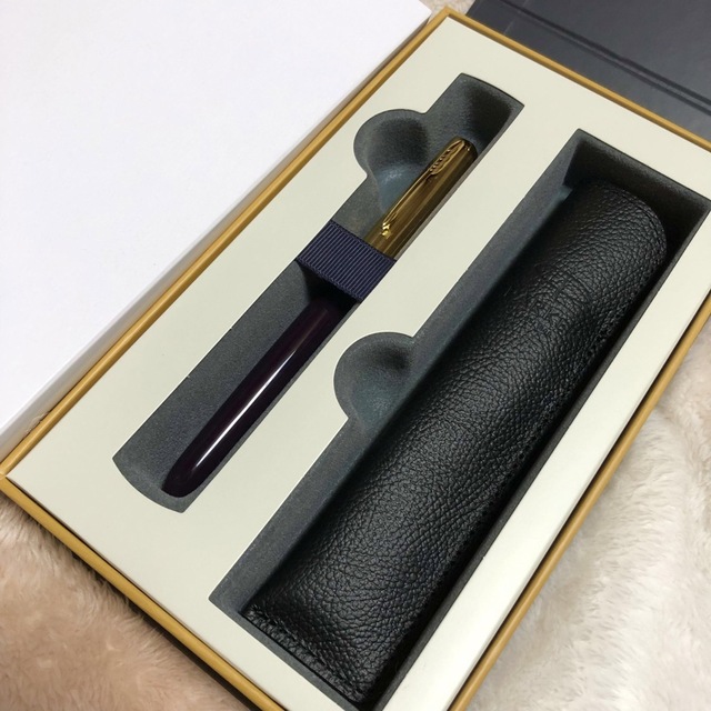 Parker - 新品未使用 PARKER パーカー51 プレミアムライン 万年筆