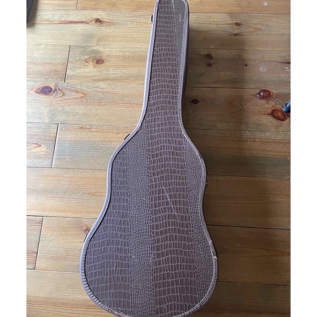 Gibson ビンテージ ポッドケース