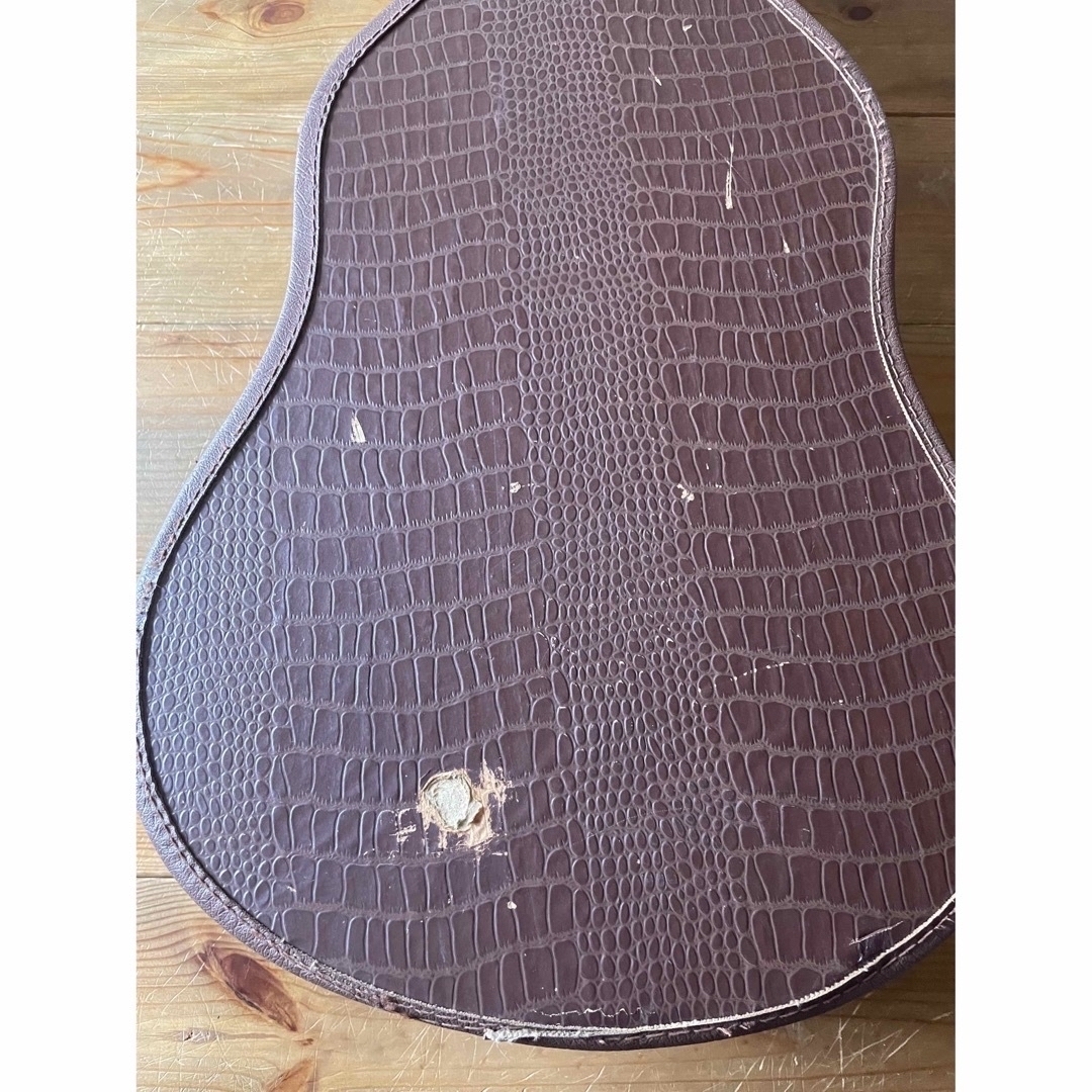 Gibson ビンテージ ポッドケース