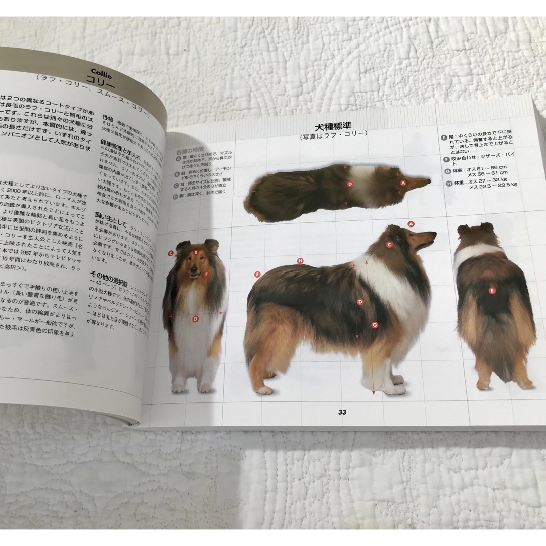 360°ビジュアル犬種大図鑑 世界の最新人気犬種のスタンダ－ドが