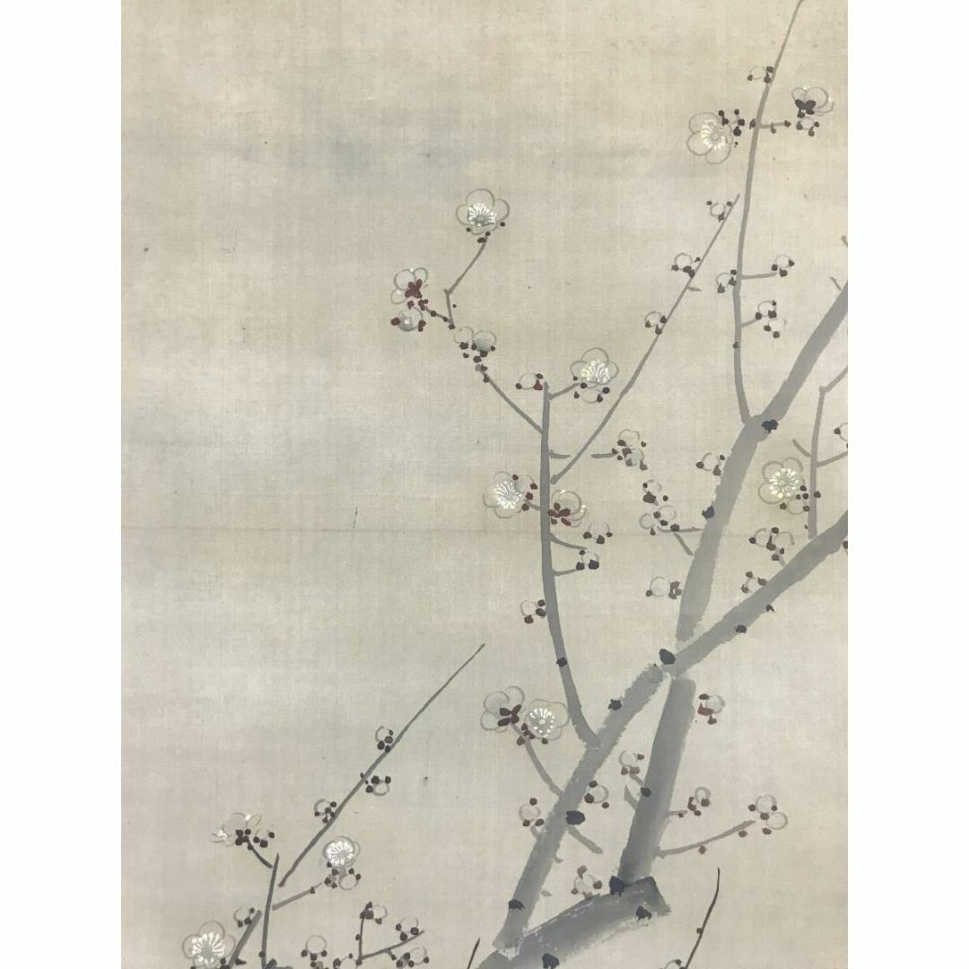 真作/滝和亭/秋蘭図/ラン図/花図/花鳥図/掛軸☆宝船☆AE-415 真作/滝和