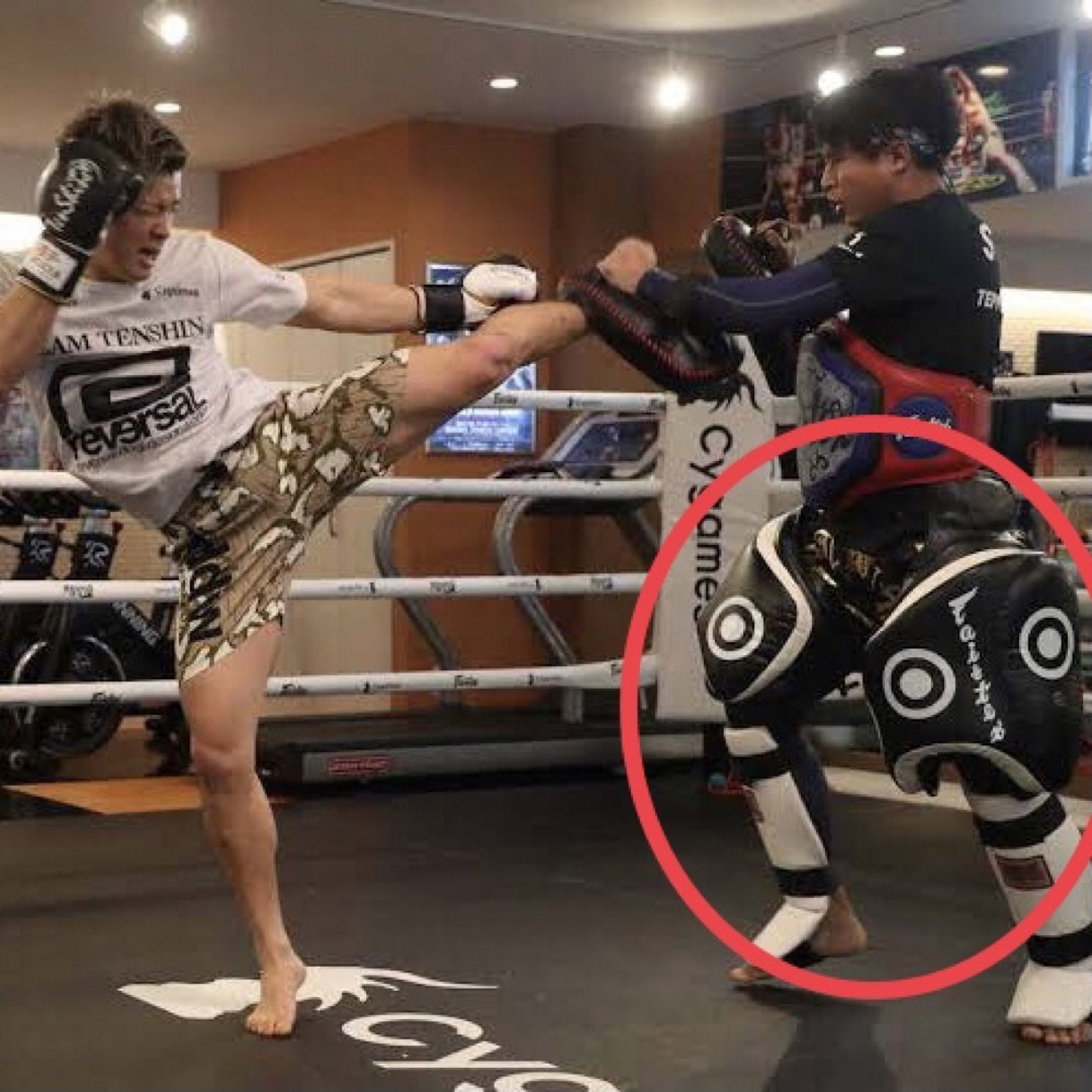 フェアテックス ローキック用タイパッド フェアテックスの日本公式