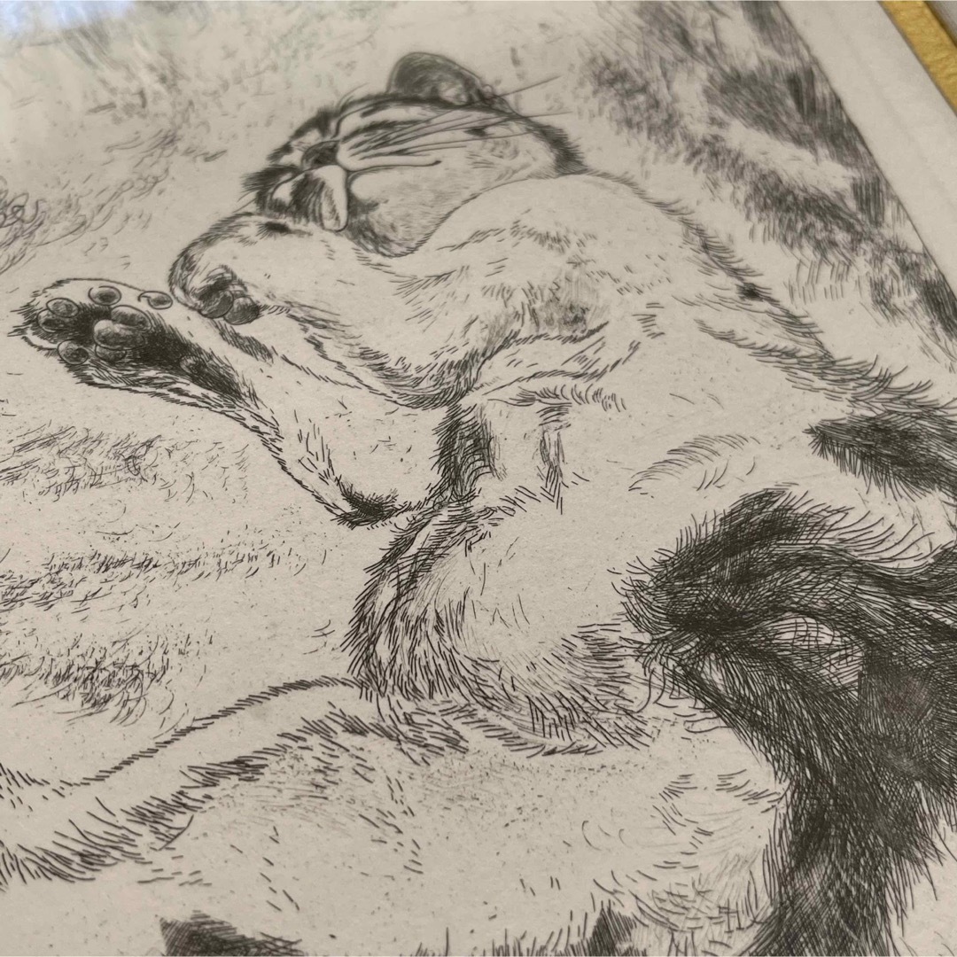 藤田嗣治 銅版画「猫」シャーマンコレクション