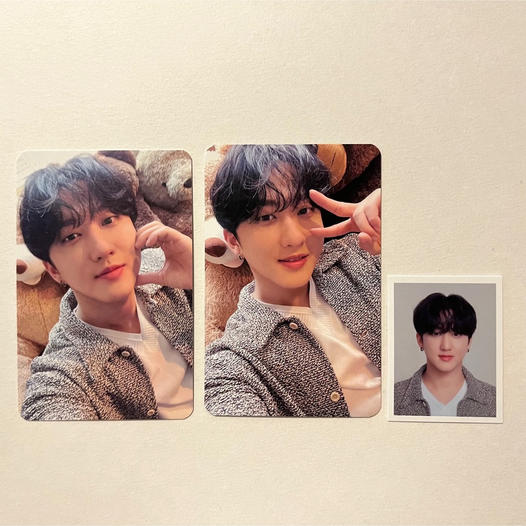 Stray Kids - stray kids 本国FC STAY3期 入会特典 チャンビンの通販