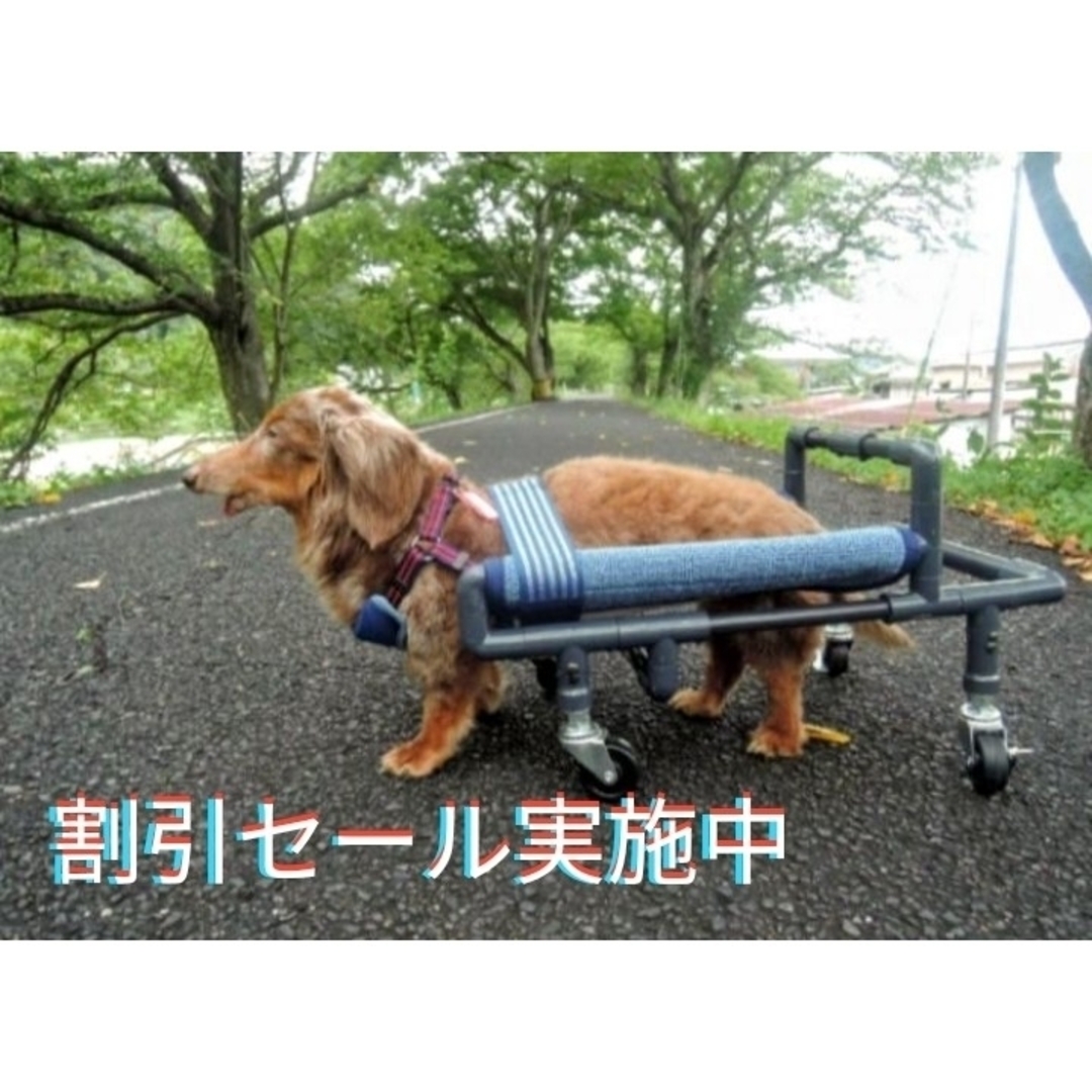 4輪歩行器、犬車椅子、犬歩行器(シートタイプ)