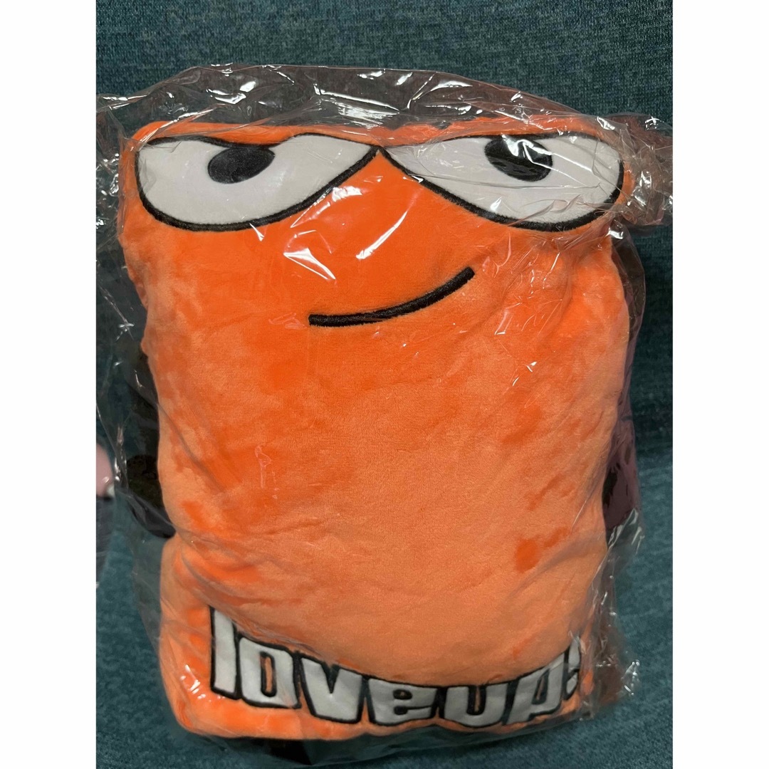 ポルノグラフィティ - 断捨離ちゃん 様専用 ポルノグラフィティ