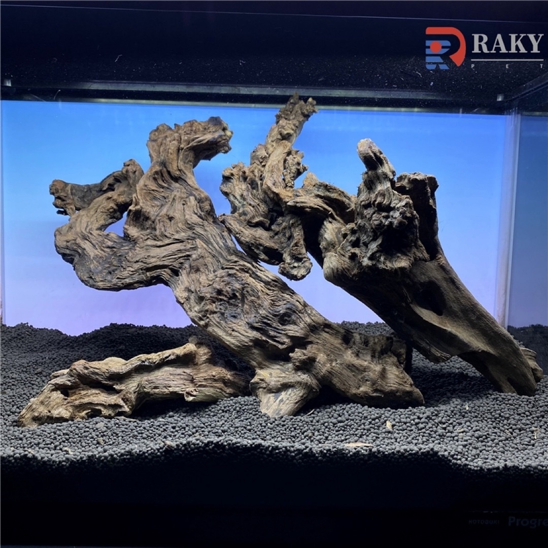 MSW-7099 天然流木 3本セット 枝流木 アクアリウム MSW-4728 -4730