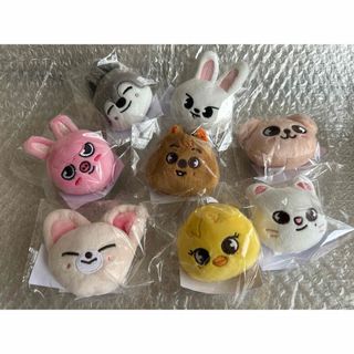 straykids skzoo マグネット コンプ