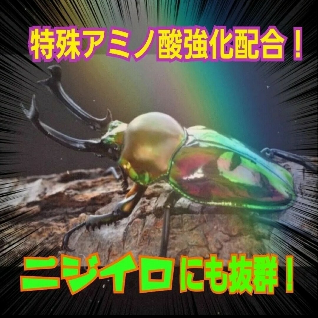 極上！カワラ菌糸瓶【8本】タランドゥス・オウゴンオニクワガタ