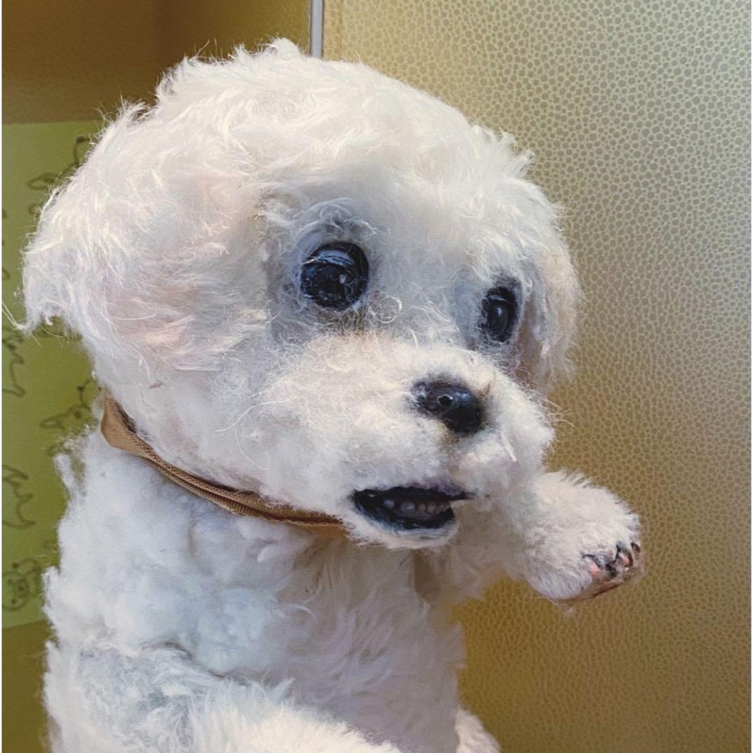 作家もの 渡辺利絵さんの白トイプードル/マルチーズのぬいぐるみ