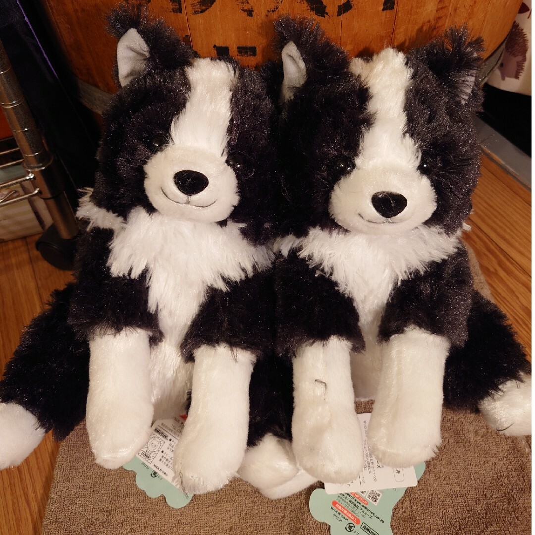 くったりボーダーコリー【新作】おりこうさん ノワール JB くったり