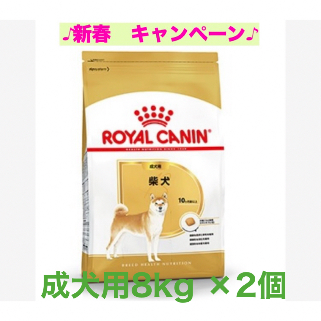 ニュートロナチュラルチョイスラム&玄米中大型成犬用17.5kg