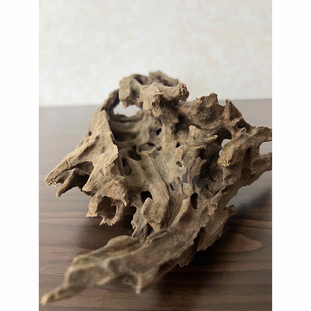 XM-202) 流木マシンガンウッドアクアリウム沈水確認済ブランチウッド