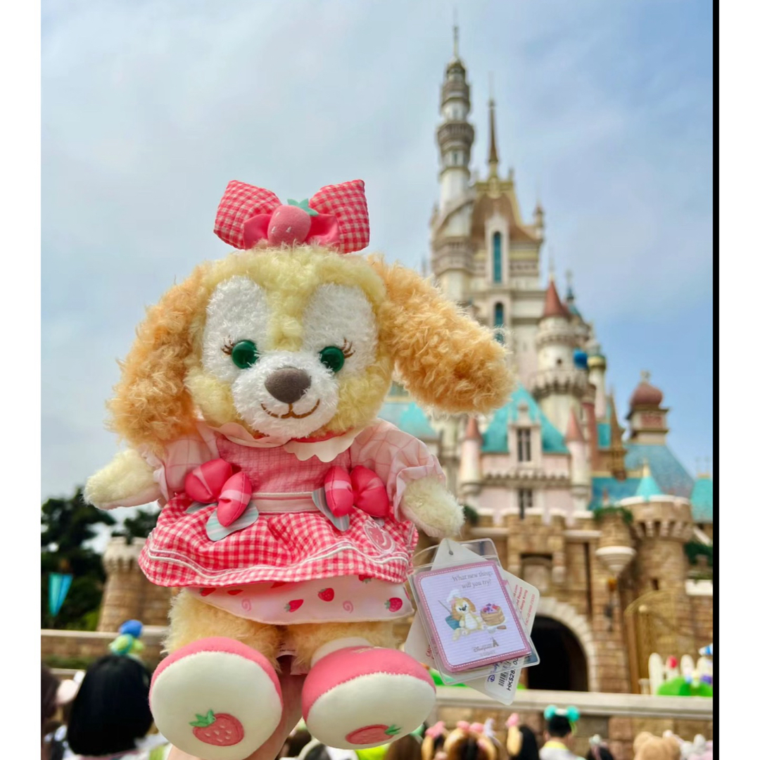 お顔厳選】香港ディズニー春限定シリーズクッキーアンぬいぐるみSSサイズ