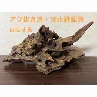 XM-202) 流木マシンガンウッドアクアリウム沈水確認済ブランチウッド