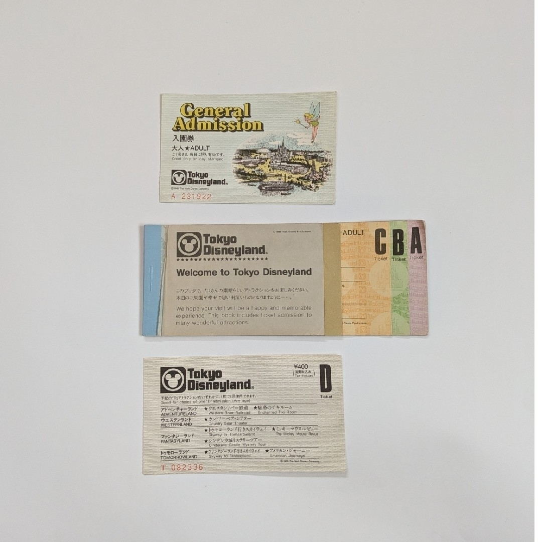 Disney - (使用済) 東京ディズニーランド 入場券 ビッグ10チケット