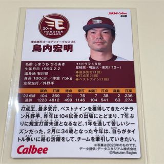 2306613654.jpg?1719669658