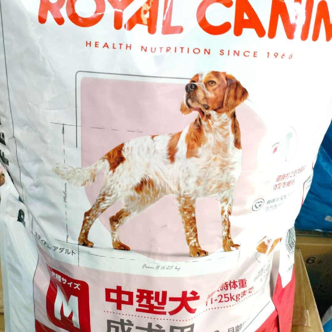 CANIN 中型犬 成犬用 ミディアム アダルト16kg Amazon | ロイヤル