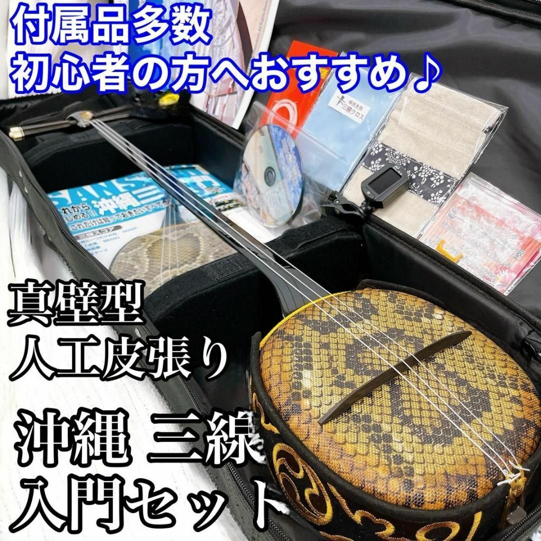 沖縄 三線 特上 人工皮革 蛇柄 ソフトケース 三味線✨付属品多数 沖縄