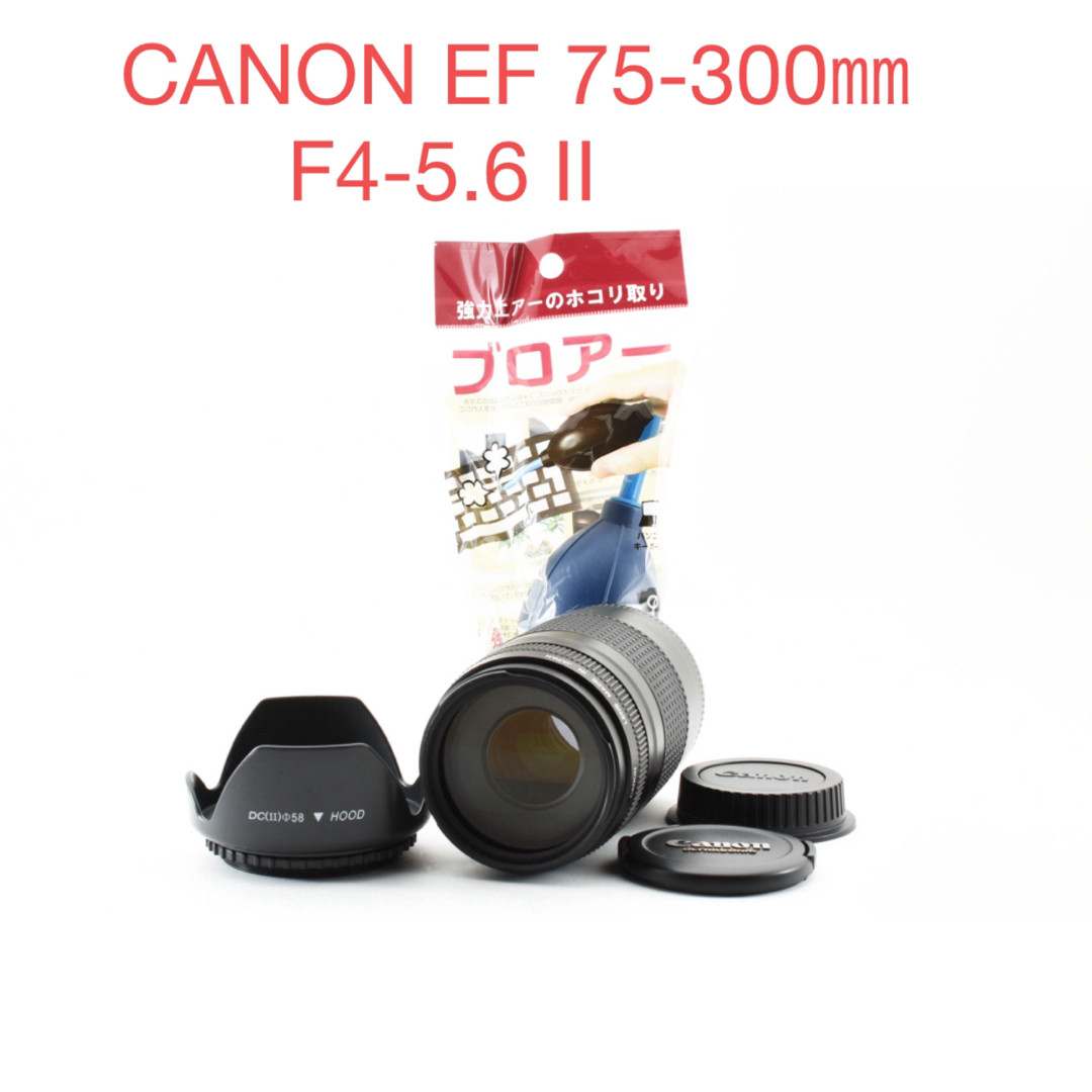 フード付/迫力の300㎜/望遠レンズ Canon EF75-300㎜B キヤノン/人気の