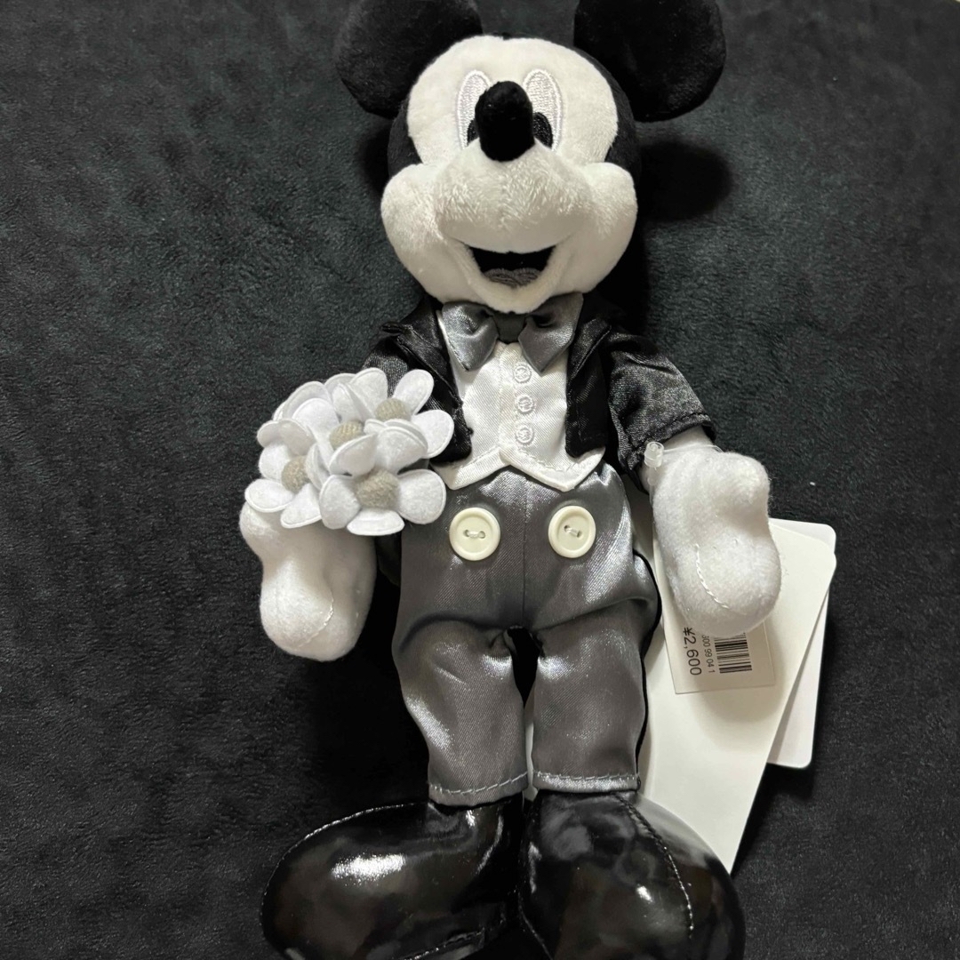 ディズニーランドワンマンズ・ドリームⅡポージーポージープラッシーセット