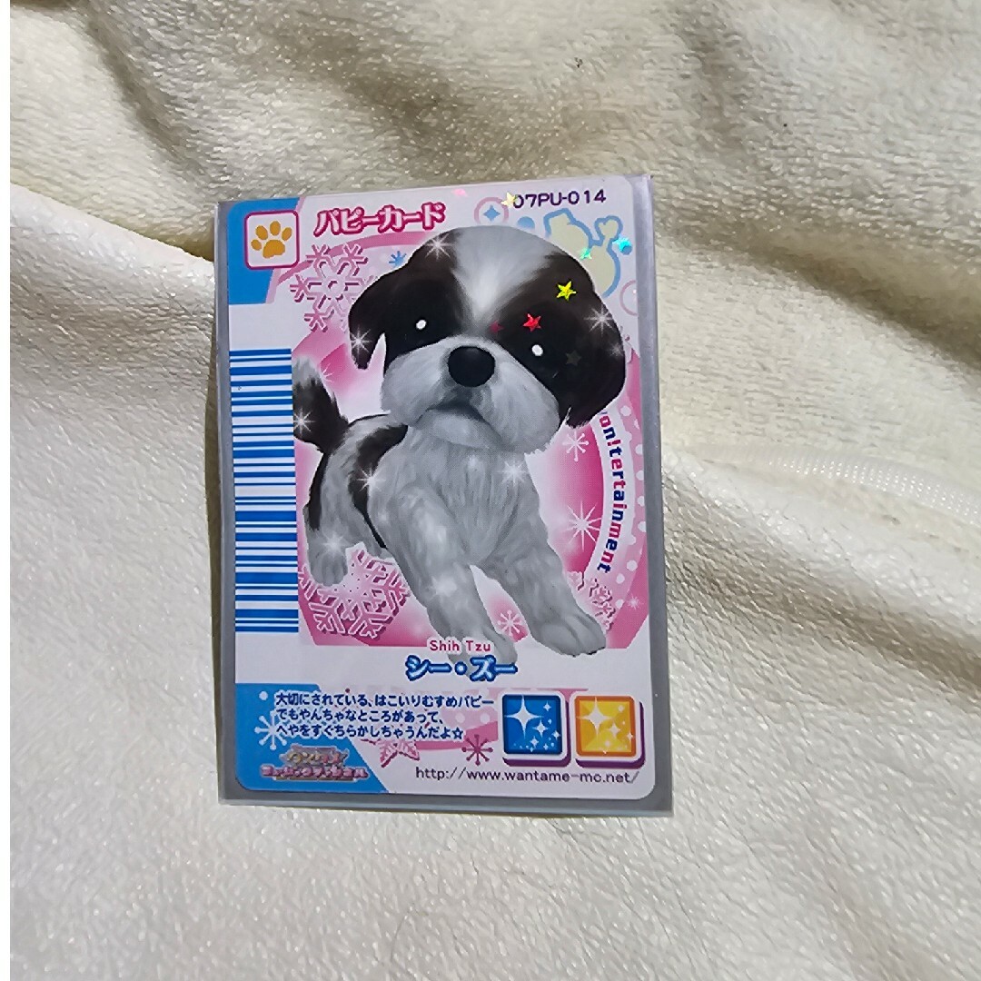 ワンタメカード レア 限定 キラキラ 表裏カード 他おまとめセット