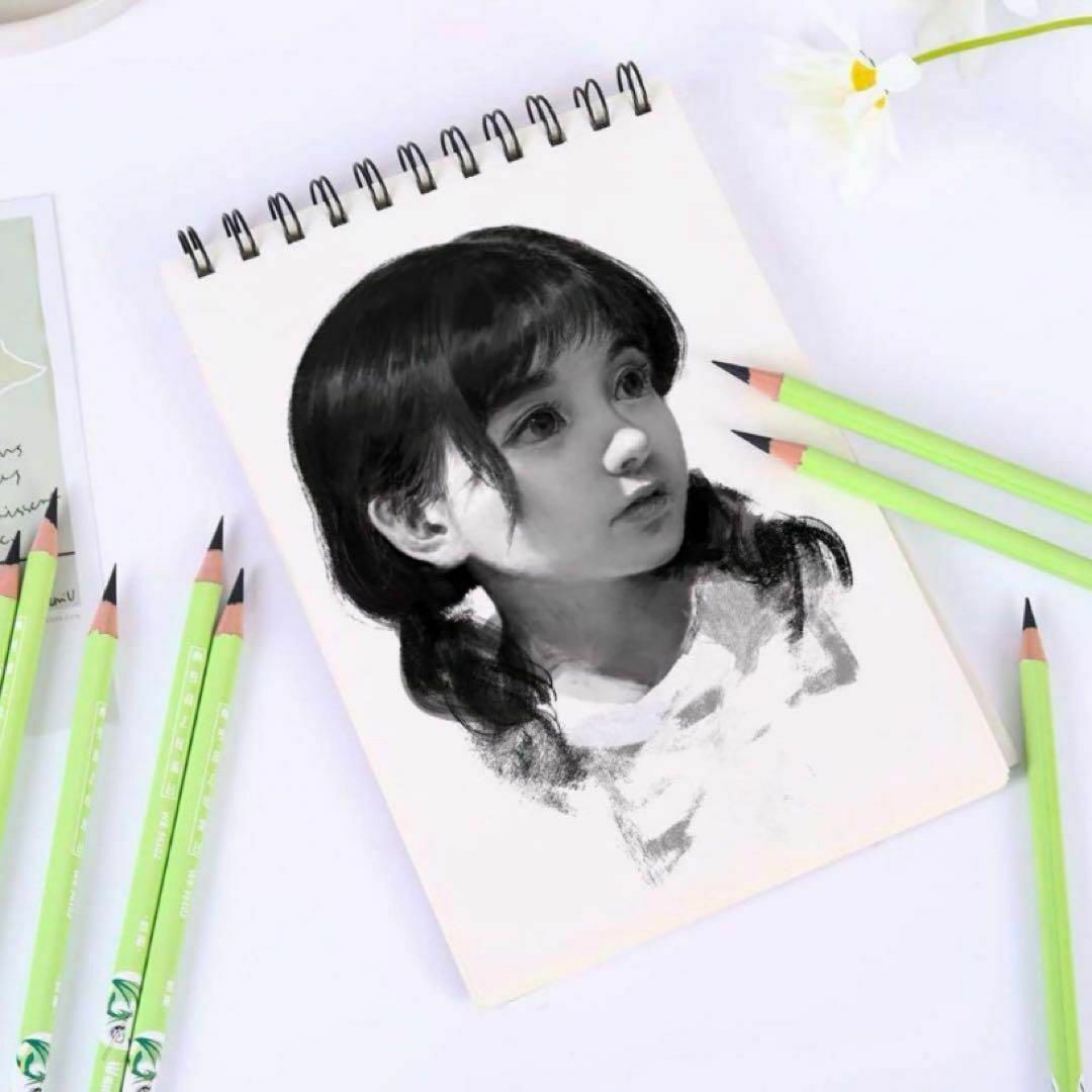 ⭐️プロフェッショナル 鉛筆 えんぴつ チャコールペン スケッチ