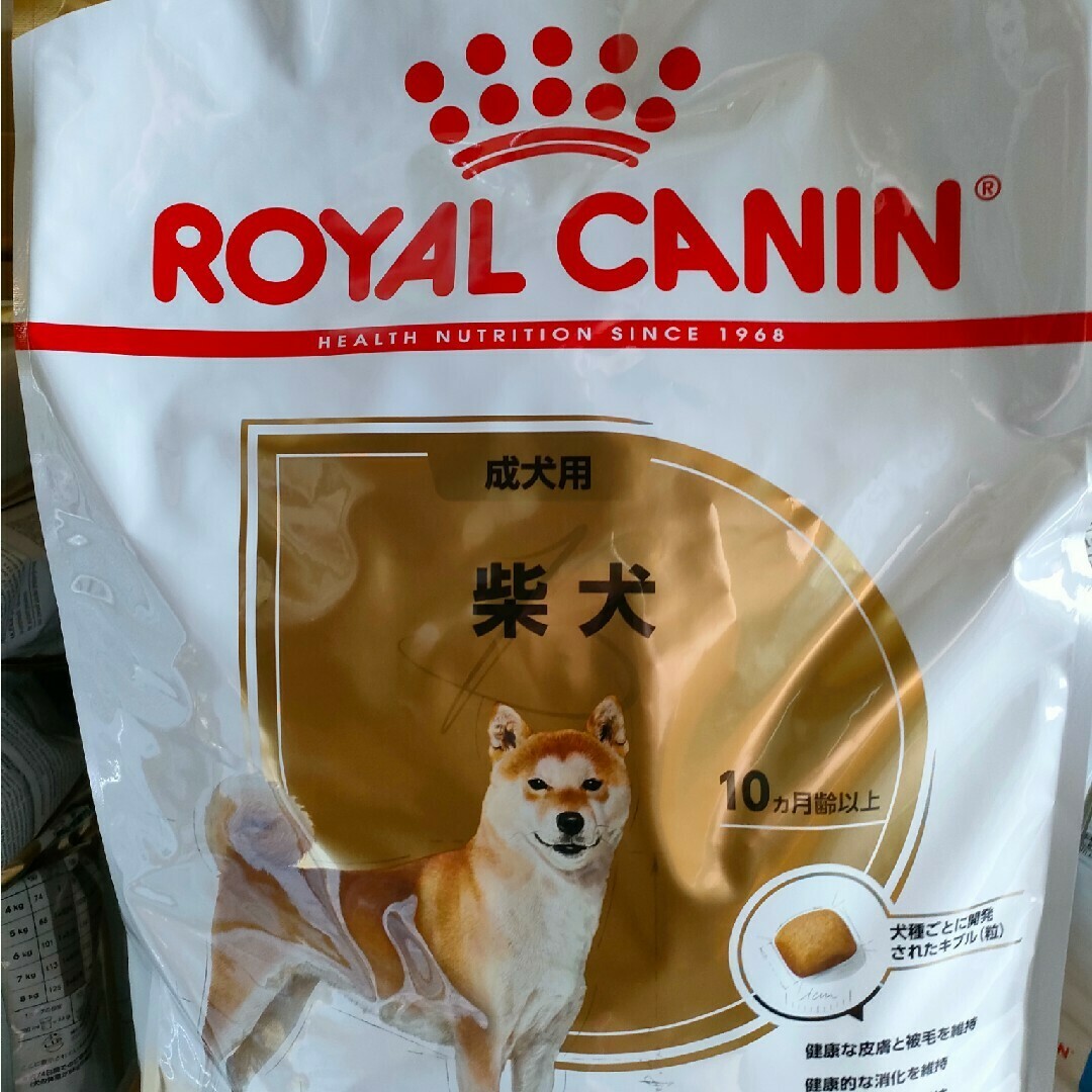 専用〕 CANIN 柴犬用 ドライフード x3袋 Amazon.co.jp: ロイヤルカナン