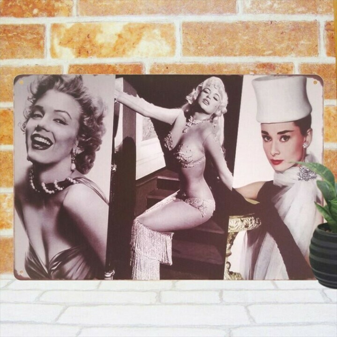 Bert Stern 写真集 マリリンモンロー オードリーヘップバーン デザイン