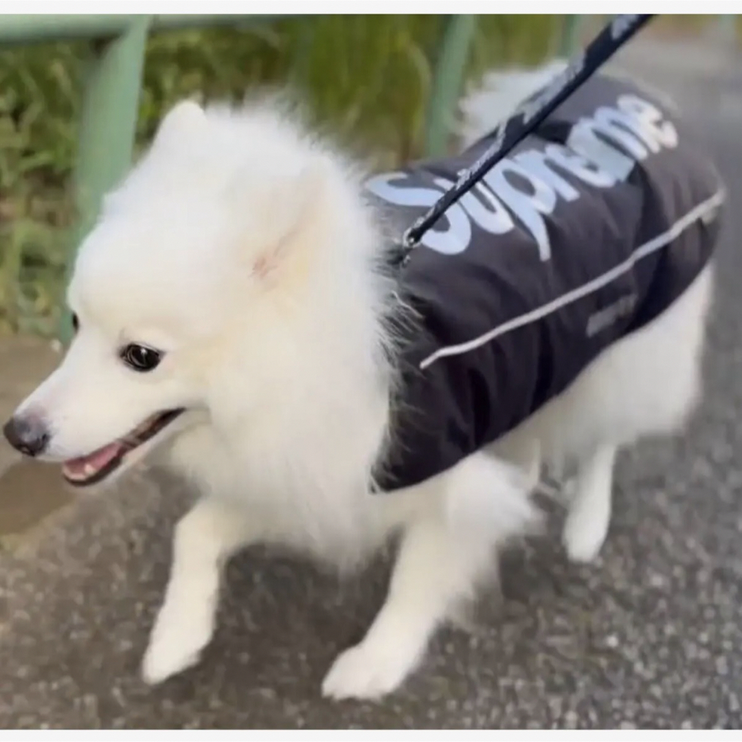 Supreme GORE-TEX 犬服 ブラック Supreme - Supreme GORE-TEX Dog