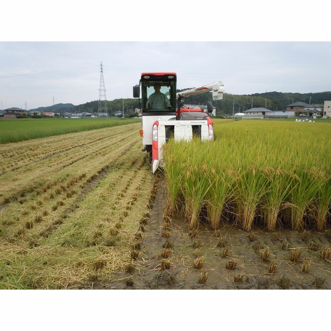 額装/ガラス入】桐生照子『白い帆船』マリーナ風景 絵画（技法不詳