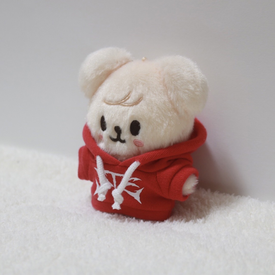 Stray Kids SKZOO テディベア パピーム スンミン stray kids スキズ