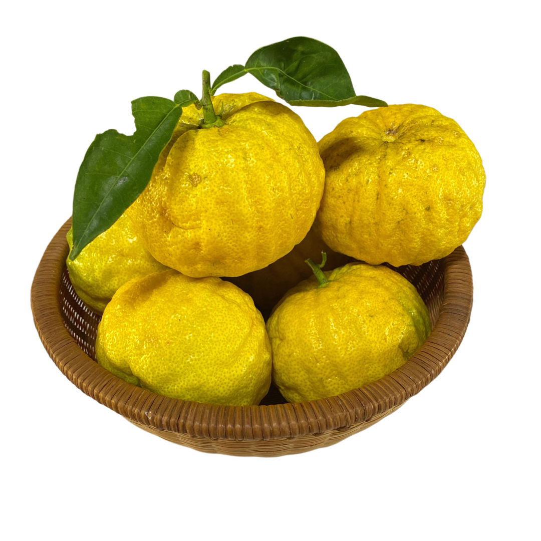 もっくん様確認用ページ柚子の葉無農薬