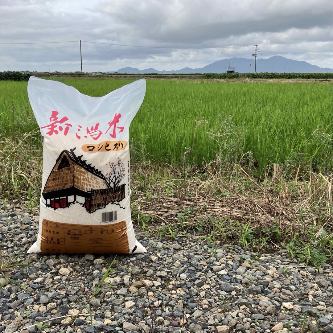 人気 茶道具 鶴の絵 花入 竹影堂