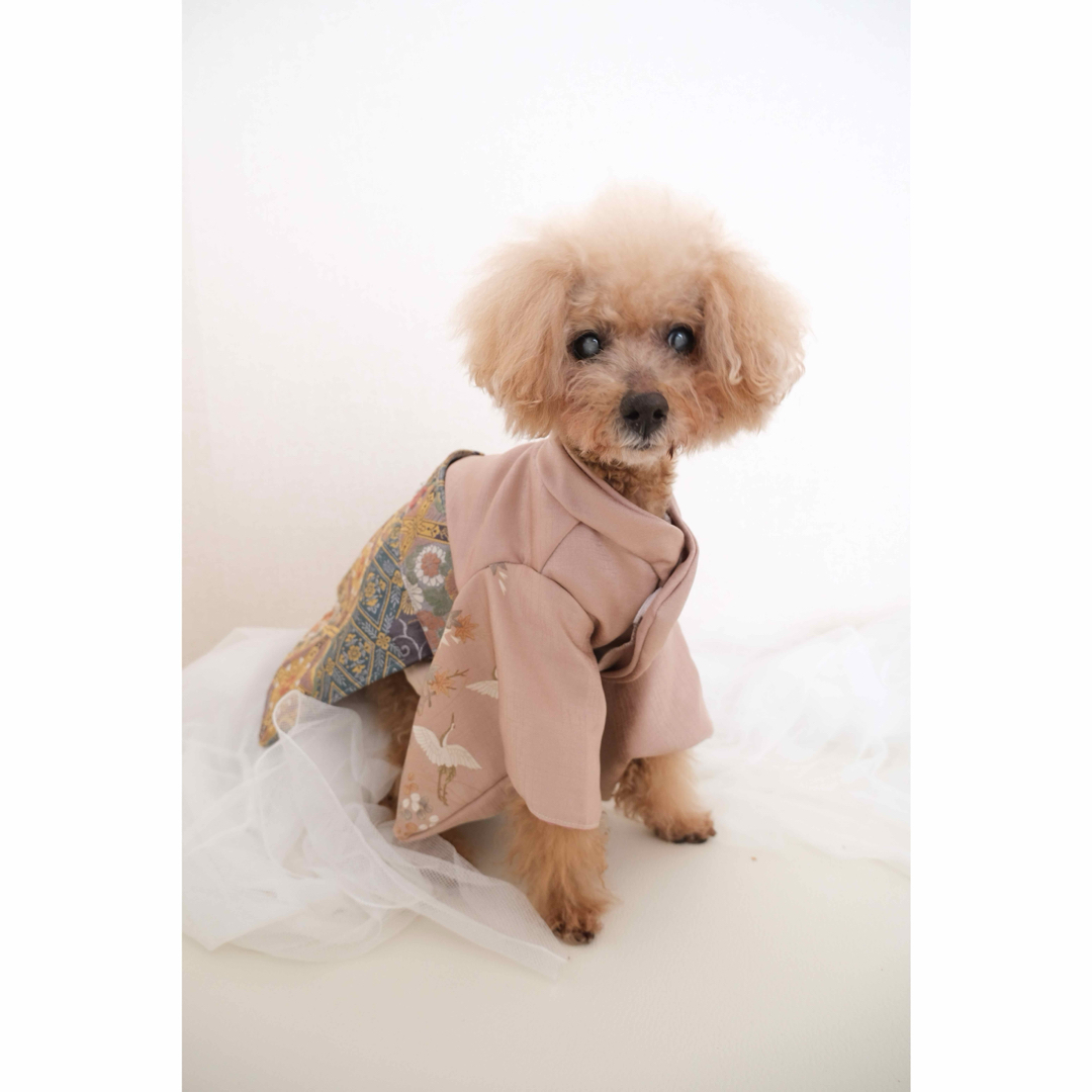 犬袴 犬着物 犬服 着物 袴 愛犬用 iDog わんこ