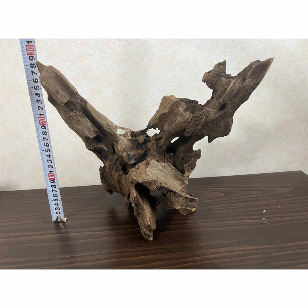 XM-378 流木 マシンガンウッド アクアリウム ブランチウッド