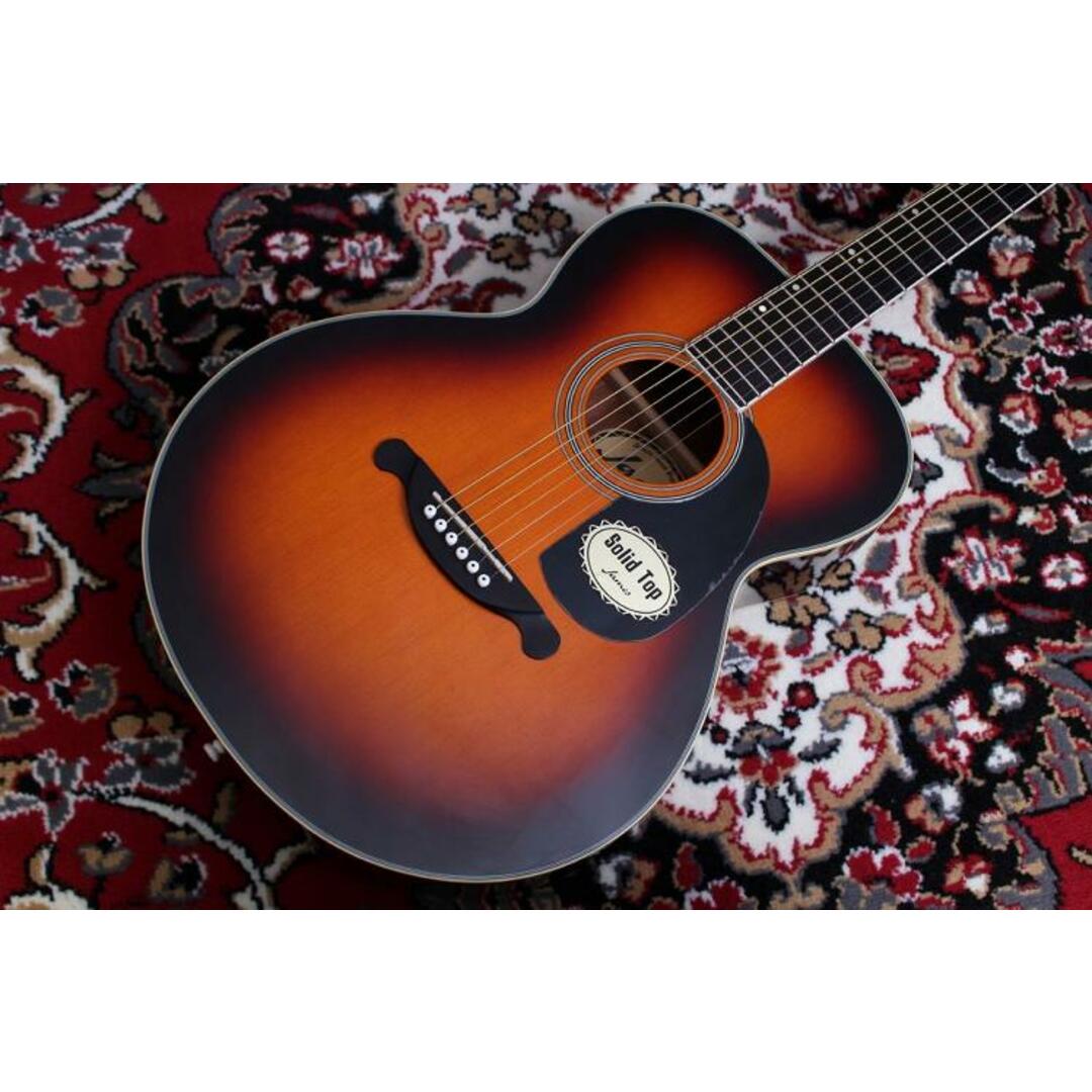 アコースティックギター James JF350 ハードケース、ピックアップ付