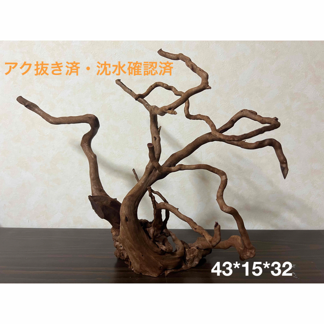 61103 ブランチウッド 流木 アクアリウム 沈水確認済