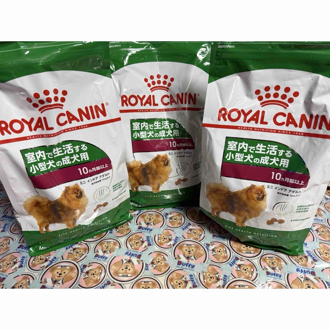 2個セットROYAL CANIN インドア アダルト 10kg ロイヤルカナン ミニ
