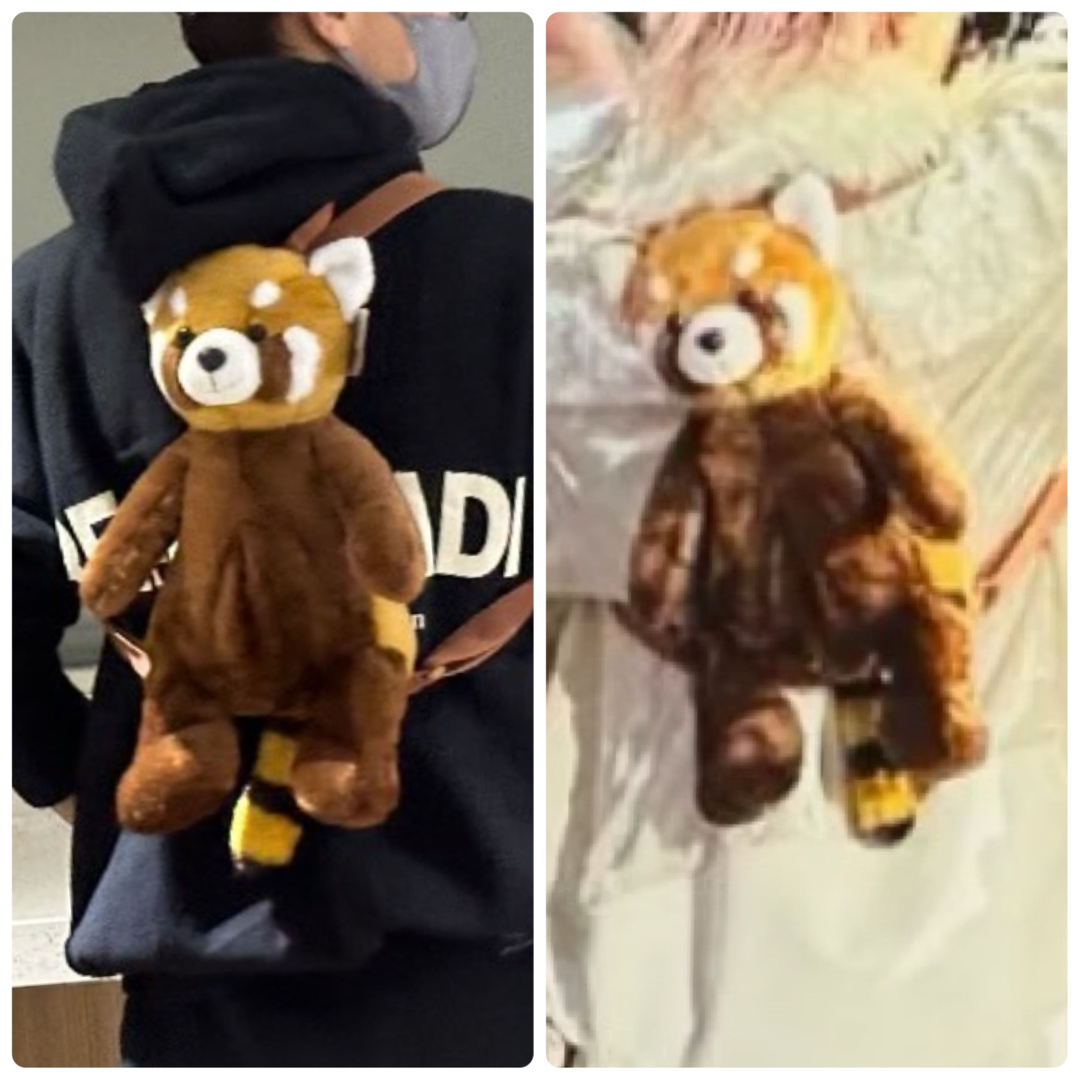 L'Arc～en～Ciel - ラルク hyde 誕生祭 トートバッグ＆レッサーパンダ